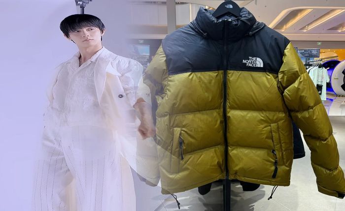 ノース フェイス ムーン ライト