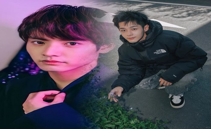 ノース フェイス nt31893