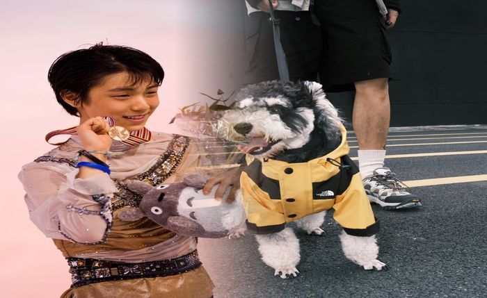 サカイ ノース フェイス サイズ