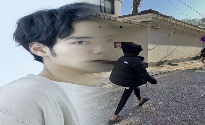 ny81660 ノース フェイス