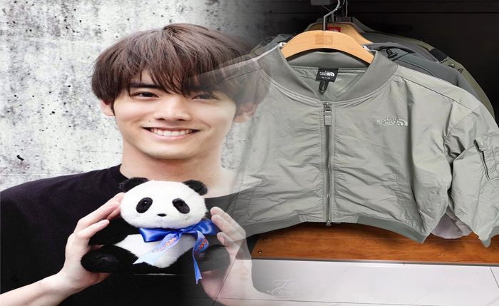 ノース フェイス ストリート 系