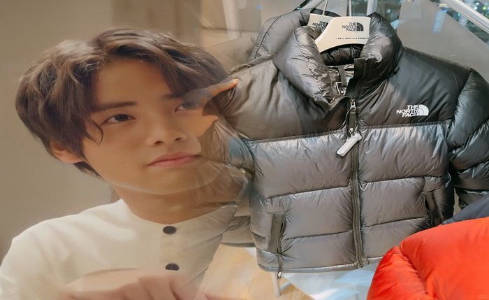 pivoter ノース フェイス