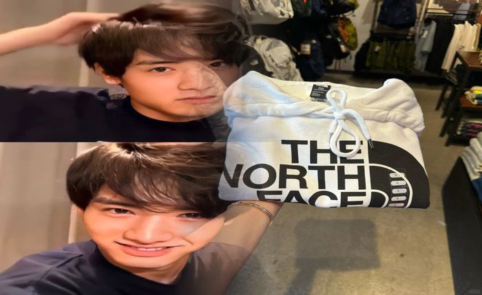 ノース フェイス 背面 ファスナー