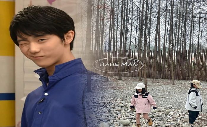 ノース フェイス ステッカー ミニ