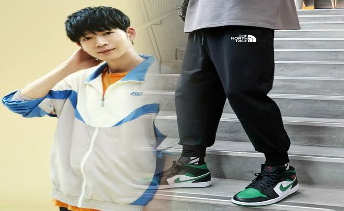 ノース フェイス オプティ ミスト