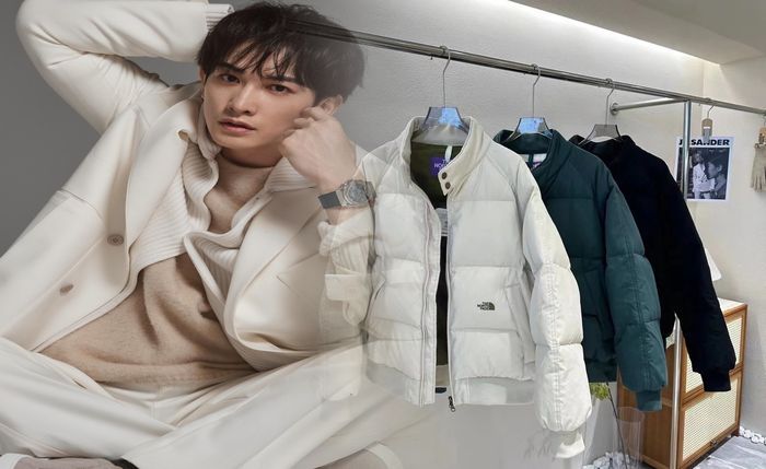 dermizax ノース フェイス