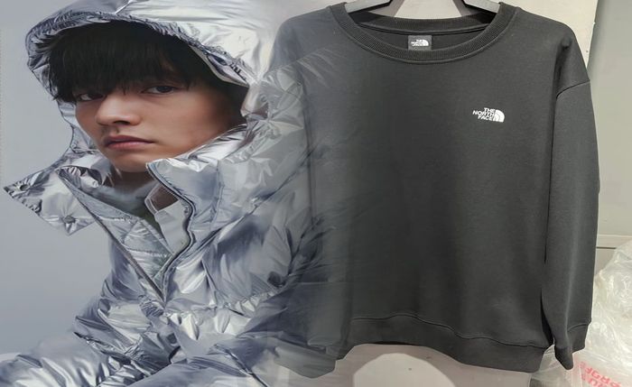 フライ ウェイト ノース フェイス