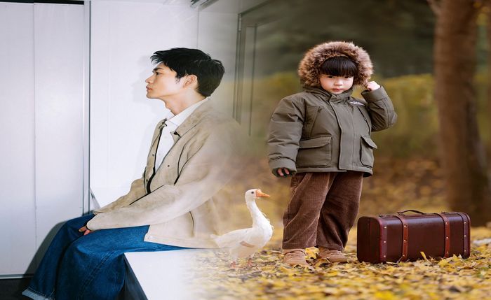 ノース フェイス レディース 新作