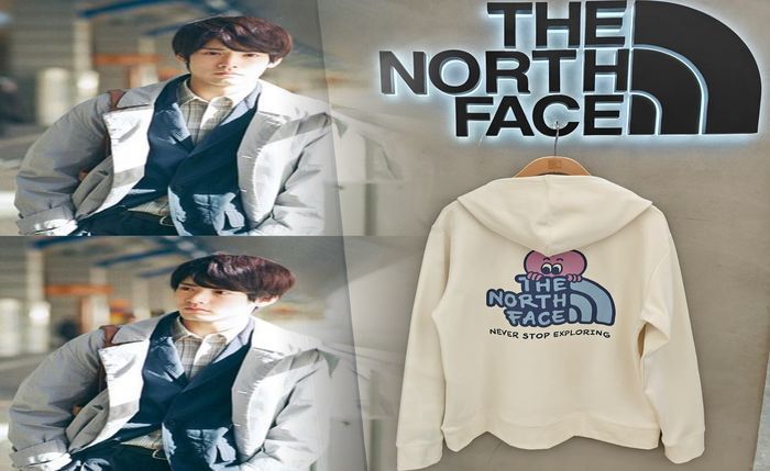 borealis ノース フェイス