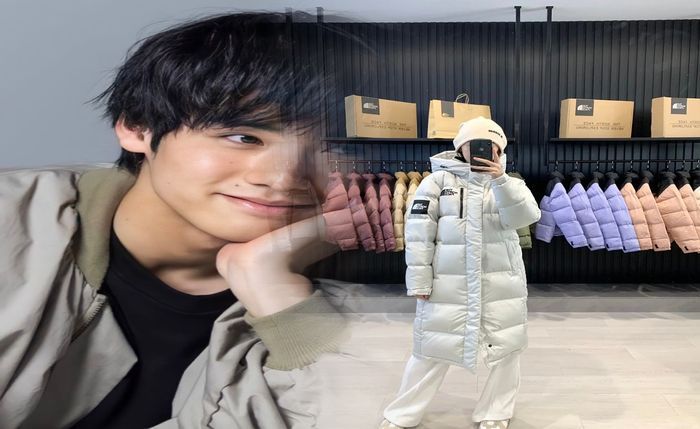 ノース フェイス tellus 33