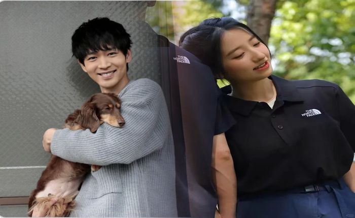 ノース フェイス スタンダード 札幌