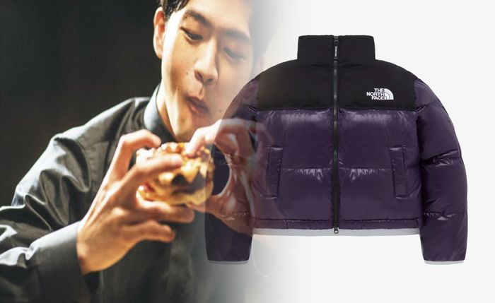 ノース フェイス 新潟 取り扱い 店