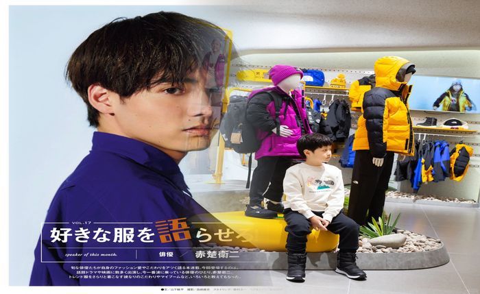 ノース フェイス vault 口コミ