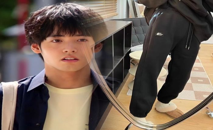 ボタニカル グリーン ノース フェイス