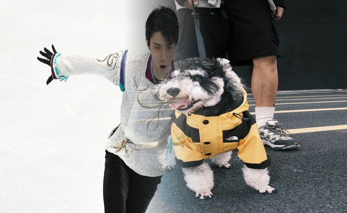 ノース フェイス 誕生 日 プレゼント