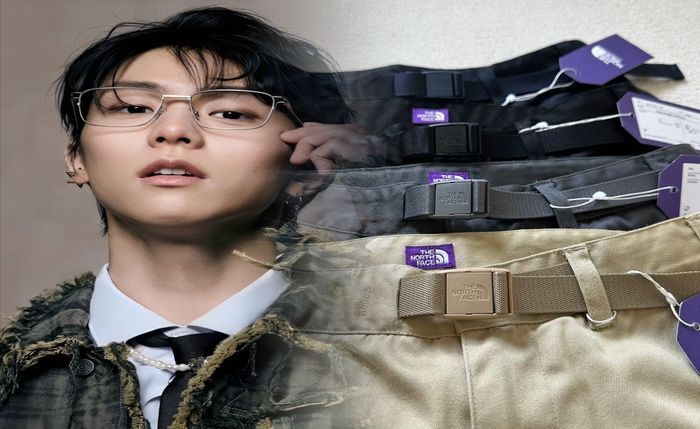 ユーティリティ ブラウン ノース フェイス