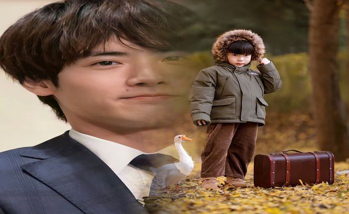 ゴアテック ス シェイク ドライ ノース フェイス