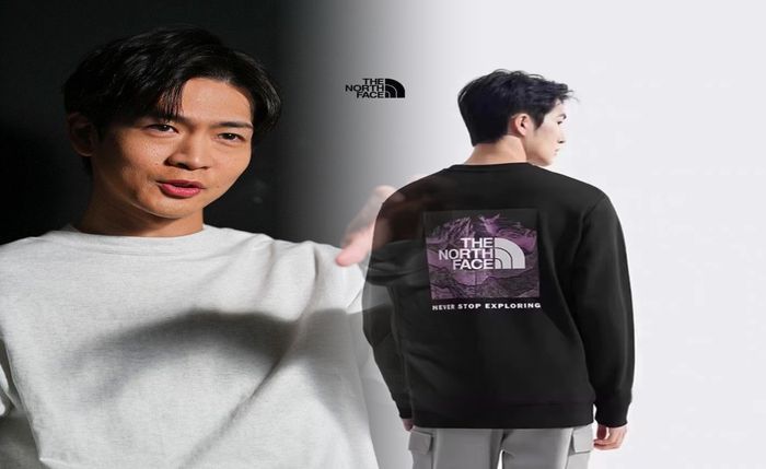 cordura nylon day pack ノース フェイス