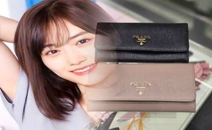 プラダ 財布 ピンク ベージュ 汚れの悩み解決！自宅ケア＆プロ依頼で美しさを保つ【徹底解説2024】
