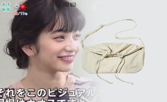バッグ イン バッグ ユニクロ