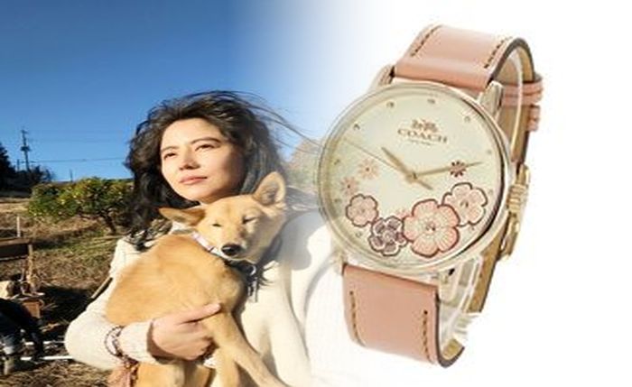 coach レディース 腕時計