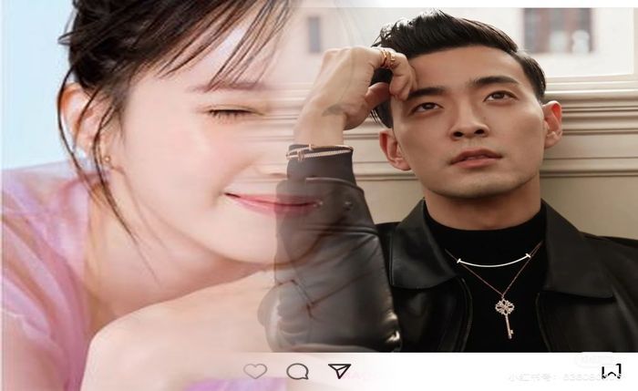 ティファニー 新作 結婚 指輪