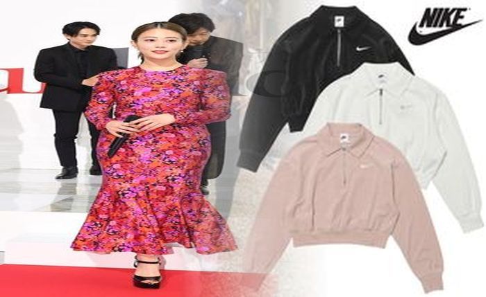 ナイキ sb フリース パーカー