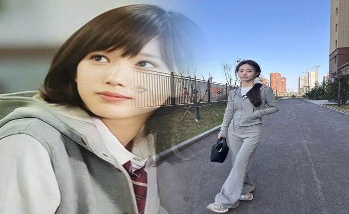 ぱど フリー ペーパー 設置 場所