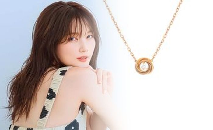 タンク レス 風 トイレ レバー