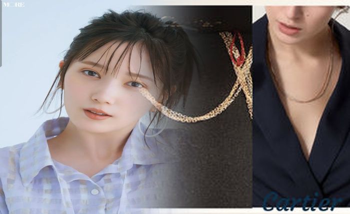 トイレ タンク シート 100 均