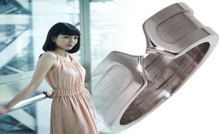 タンク レス トイレ diy カビ