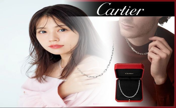 トイレ タンク レス diy 100 均