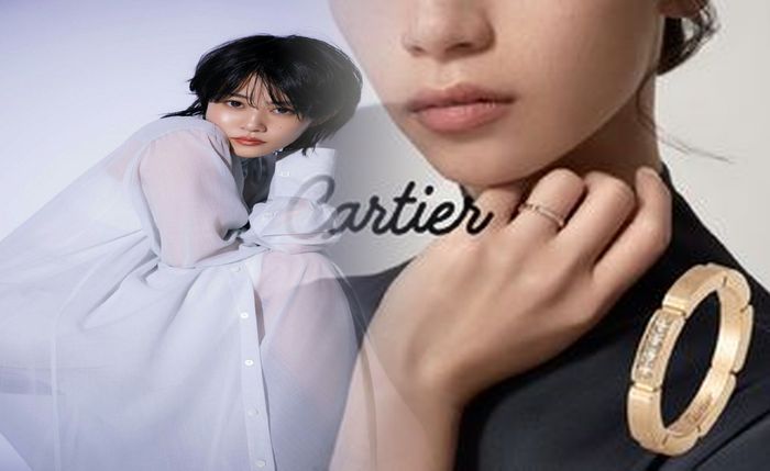 タンク レス トイレ diy カビ