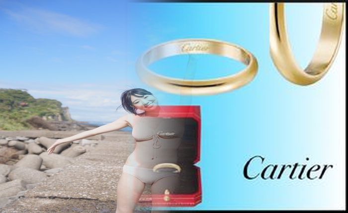 カルティエ サントス 100 ラバー