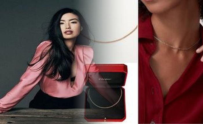 タンク レス トイレ diy カビ