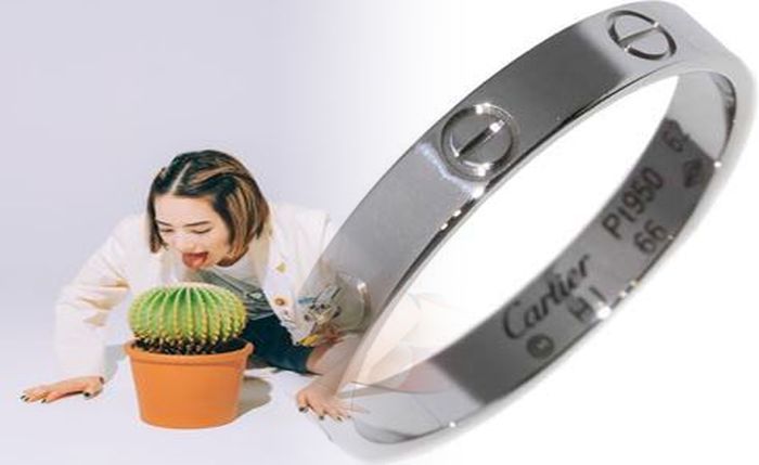 トイレ タンク インテリア 100 均