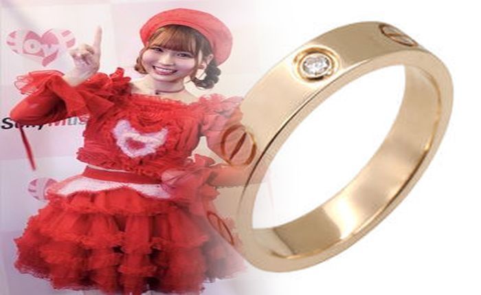 タンク レス 風 トイレ diy