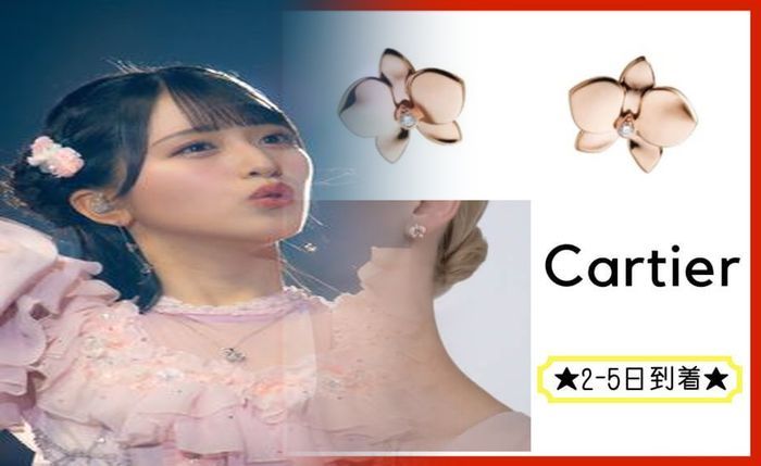 タンク レス 風 トイレ diy 簡単