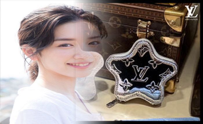 フランス ルイ ヴィトン 財布