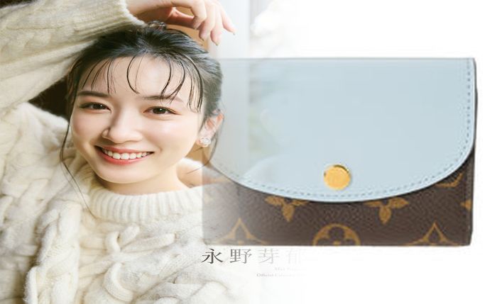 ルイ ヴィトン 長 財布 大き さ