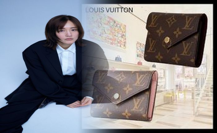 ルイ ヴィトン 長 財布 大き さ