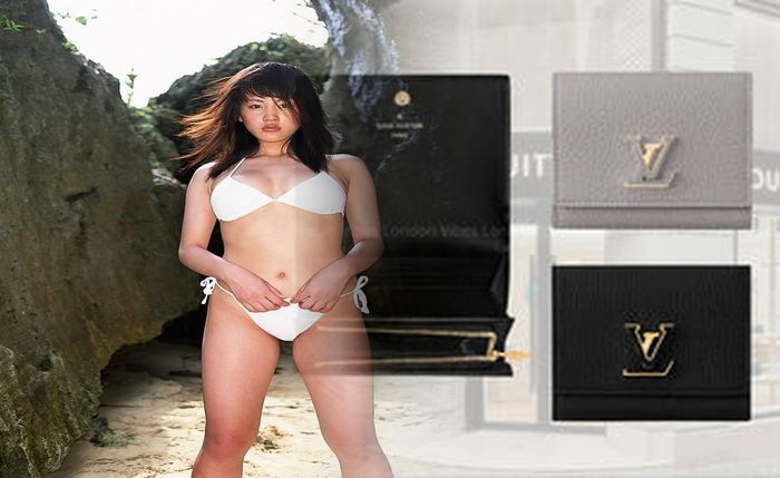 ルイ ヴィトン モノグラム 長 財布