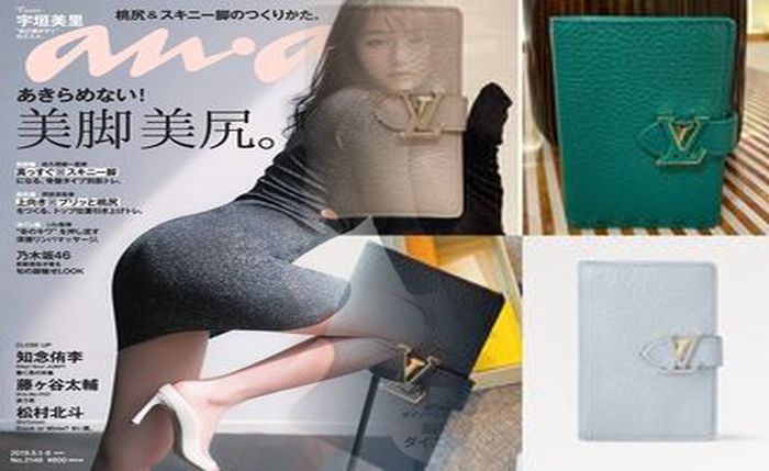 louis vuitton ジッピー ウォレット