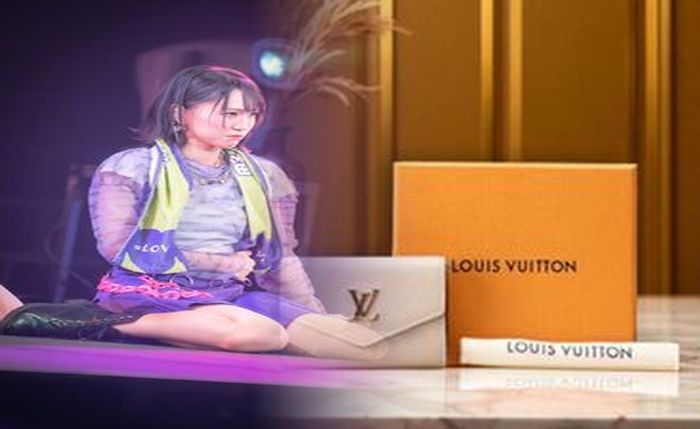 louis vuitton 二 つ折り 財布