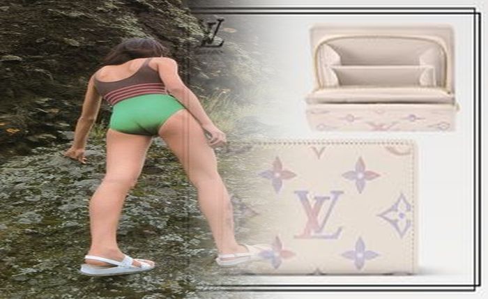 ルイ ヴィトン 札入れ ダミエ