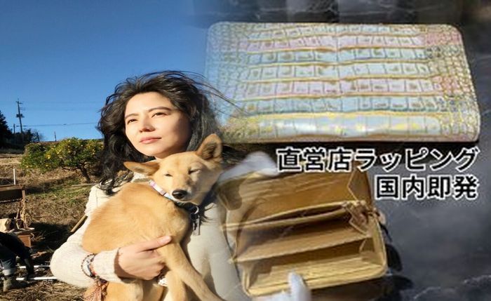 ルイ ヴィトン 新作 財布 2014