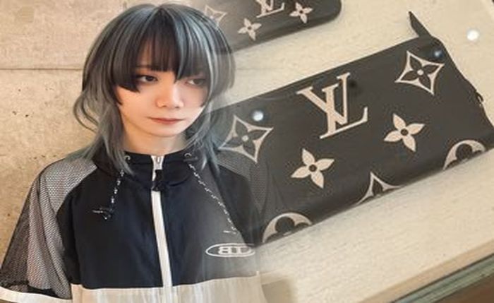 ヴィトン ジッピー ウォレット モノグラム