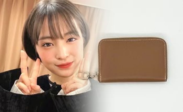 エルメス 財布 ベアン バイ カラー