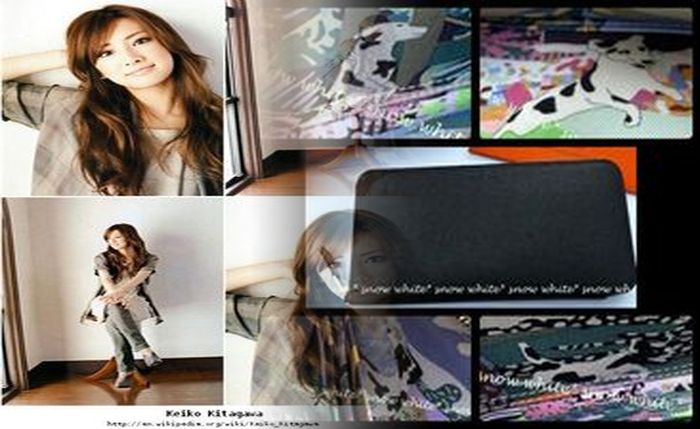 エルメス 財布 シルク イン ミニ