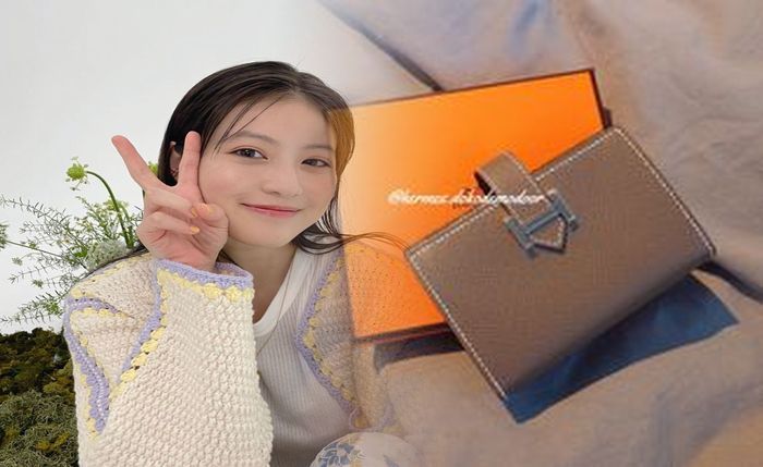 エルメス 財布 シルク イン ミニ